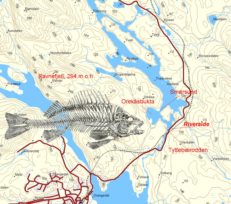 Kart over Tveitvannet