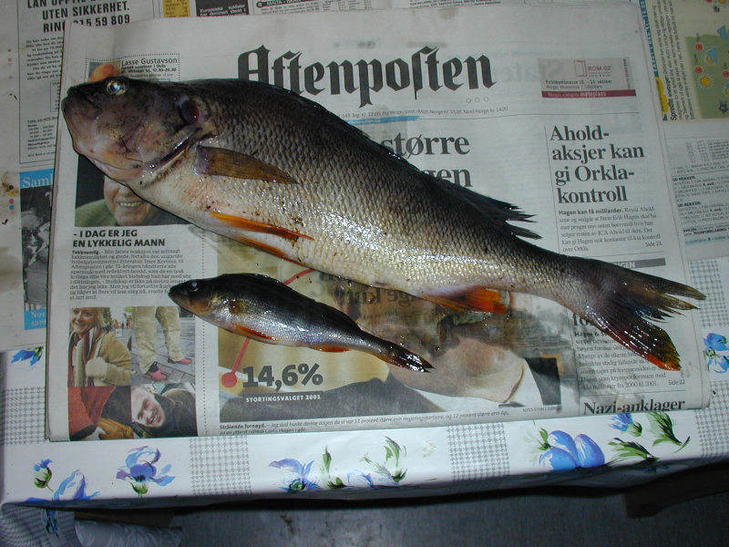 DSCN0007