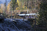 IMG_1452