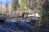 IMG_1455