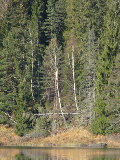 P1050137