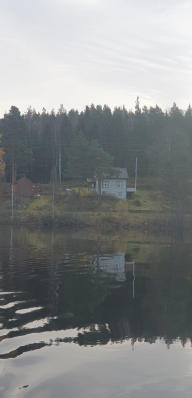20241023_110835